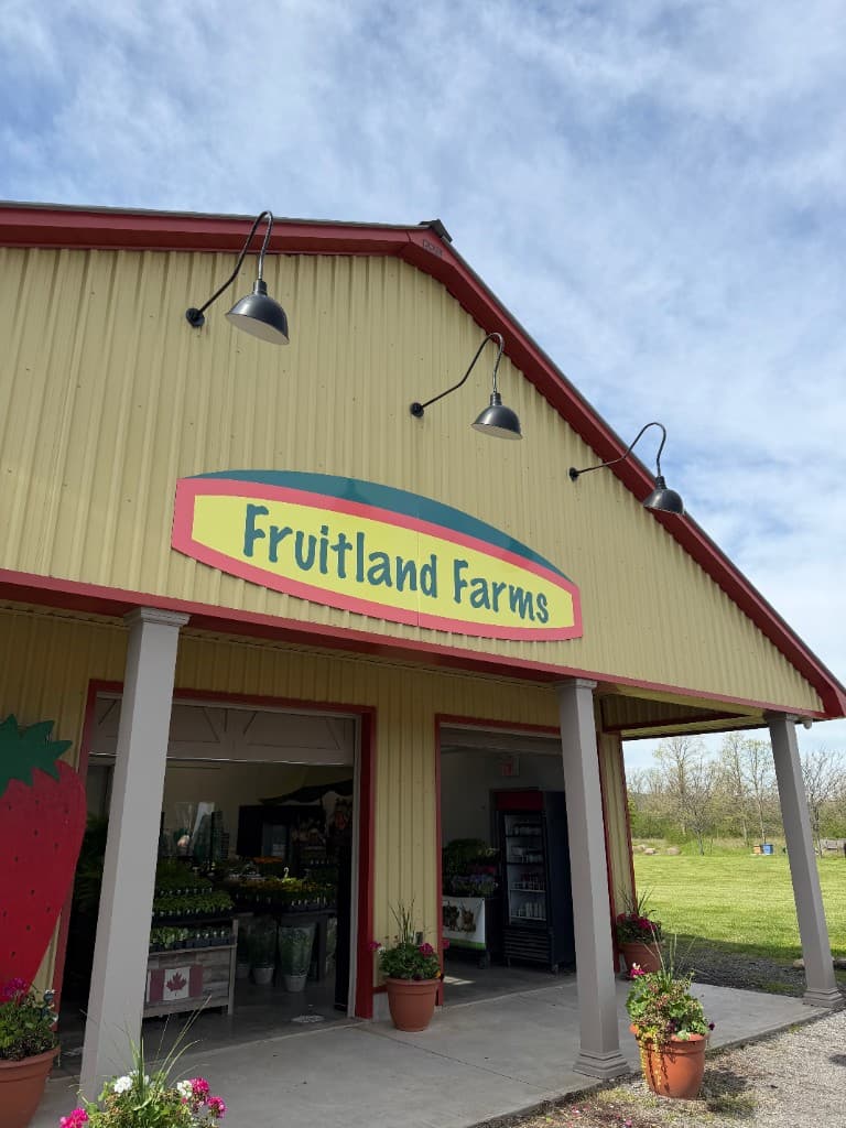 Fruitland Farms storefront: yellow barn with red trim, oval Fruitland Farms sign, plant racks, and strawberry cutout out front